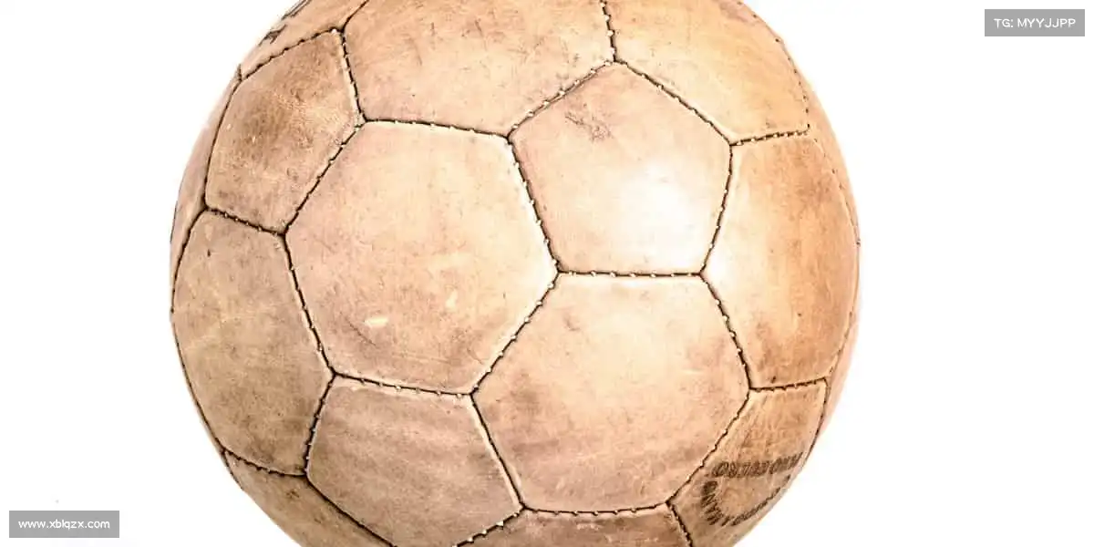 为什么选择我们